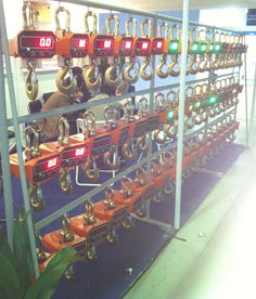 海南電子吊秤與鉤頭秤 高精度稱重解決方案，廠家直銷更省心